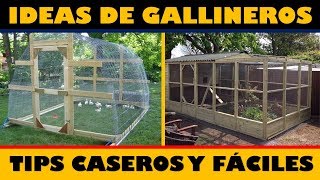 Las Mejores Ideas para hacer Gallineros  Tips Caseros [upl. by Linnet]