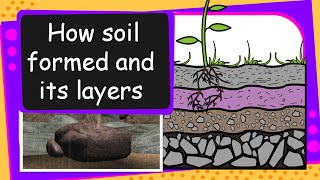 Science  Soil Formation and soil layers  English [upl. by September941]