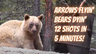 Arrows Flyin Bears Dyin  12 Bear Hunting shots in 5 minutes [upl. by Dalenna]