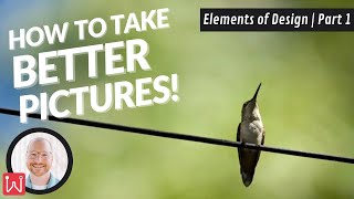 How to Take Better Pictures  Elements of Design  Part 1 [upl. by Konstance]