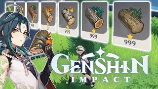 Best Places To Farm Wood Genshin Impact [upl. by Anizor620]