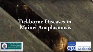 Tickborne Diseases in Maine Anaplasmosis [upl. by Richer]