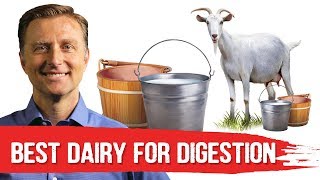 Best Dairy To Avoid Digestive Stress Lactose Intolerance – DrBerg [upl. by Ahsemat]