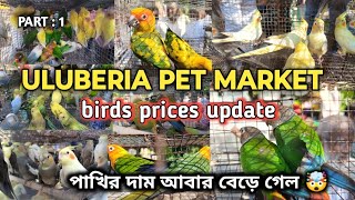 ULUBERIA PET MARKET BIRDS PRICES UPDATE 9th NOVEMBER PART 1 uluberiapetmarket cheapestprice [upl. by Juditha]