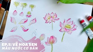 Ep1 Hướng dẫn vẽ hoa sen  Vẽ tranh sen màu nước cơ bản [upl. by Alten]