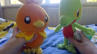 Pokemon Treecko Plush Review [upl. by Angele]