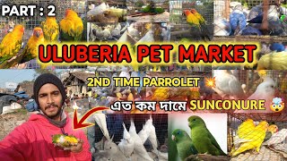 ULUBERIA PET MARKET BIRDS PRICES UPDATE ON 28th DECEMBER PART 2 uluberiapetmarket cheapestprice [upl. by Yhtimit]