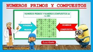 NÚMEROS PRIMOS Y COMPUESTOS  mejor explicación y ejemplos  Primaria [upl. by Rind]