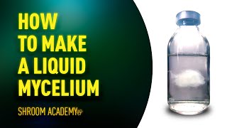 🍄 Shroom Academy how to make a liquid mushroom culture or liquid mycelium [upl. by Killam]