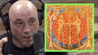 Joe Rogan  The Link Between Religion and Psychedelics [upl. by Andrei]