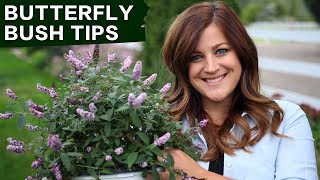 Butterfly Bush Care Tips  Garden Answer [upl. by Aelanna]