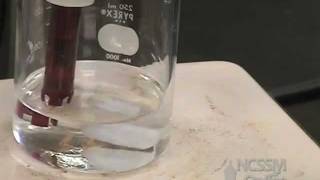 Polyprotic Acid Titration Lab [upl. by Taddeusz]