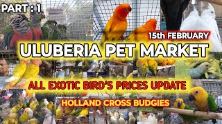 ULUBERIA PET MARKET BIRDS PRICES UPDATE ON 15TH FEBRUARY PART 1 uluberiapetmarket birdslover [upl. by Yrol]