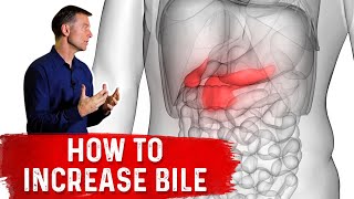 10 Things That Increase Bile Salts [upl. by Meyeroff805]