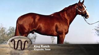 AQHA 75Year Breeder Salute [upl. by Greer]