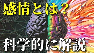 感情とは一体何なのか？脳との関係は？ [upl. by Einnus]