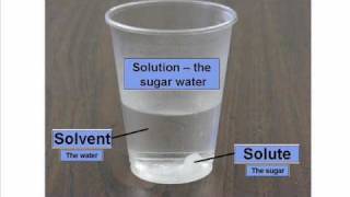 Solute and Solvent  Dissolving [upl. by Ahders]