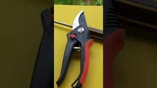 Sharpening Secateurs Pruners with a Stone [upl. by Teerpnam]