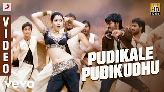 Venghai  Pudikale Pudikudhu Video  Dhanush Tamannah  DSP [upl. by Nira]