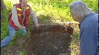 Soil Formation Processes in Podzols at the Lunate Creek Research Area [upl. by Kahler136]