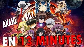 Akame ga Kill EN 13 MINUTES  RE TAKE [upl. by Akirdnwahs]