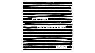 Old Dominion  Say You Do Audio [upl. by Figone]