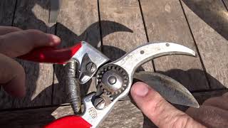 Sharpening secateurs 101 [upl. by Whit]