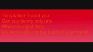 Arash  Temptation Lyrics [upl. by Ellienad]