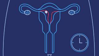 Egg sperm and fertilization  Behavior  MCAT  Khan Academy [upl. by Letsirhc]