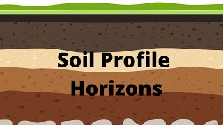 Soil Profile and Soil Horizons [upl. by Rosenquist197]