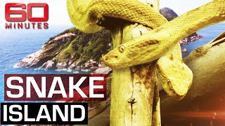 The deadliest place on earth Snake Island  60 Minutes Australia [upl. by Oflodor]