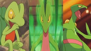 Pokemon AMV Fire Treecko to Sceptile [upl. by Bea]