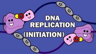 DNA REPLICATION 13  INITIATION [upl. by Enitsed485]