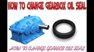 HOW TO CHANGE GEARBOX OIL SEAL [upl. by Artenal642]