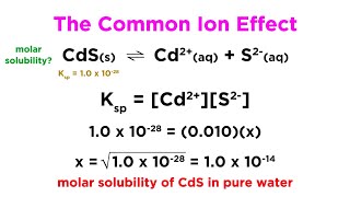 The Common Ion Effect [upl. by Gnek336]