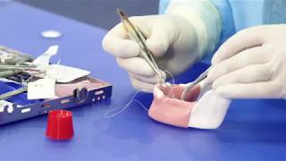 Placing OSSIX® Plus resorbable membrane Part 2  Suturing [upl. by Luca302]