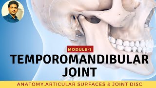 TEMPOROMANDIBULAR JOINT Anatomy amp Biomechanics [upl. by Einnad129]