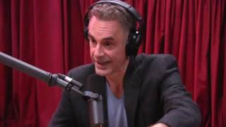 Jordan Peterson Explains the Male Dominance Hierarchy  The Joe Rogan Experience [upl. by Thurmann]