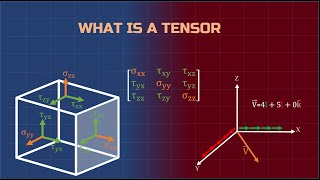 Tensors [upl. by Lenoel358]