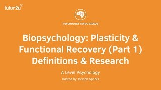 Revision Webinar Biopsychology – Plasticity amp Functional Recovery Part 1 Definitions amp Research [upl. by Elocaj]