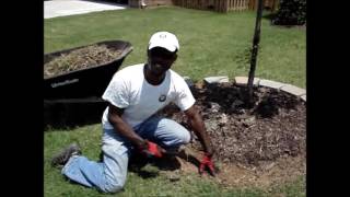 How to install a Retaining Brick around a Tree [upl. by Etteroma]