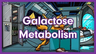 Galactose Metabolism Mnemonic  USMLE Preview [upl. by Cavallaro]