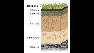 Weathering and Soil Formation [upl. by Vivyan]