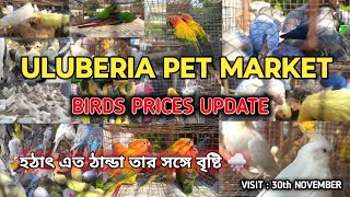 ULUBERIA PET MARKET BIRDS PRICES UPDATE ON 30th NOVEMBER PART 1uluberiapetmarket cheapestprice [upl. by Christabella610]