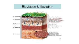 Process of Soil Formation Soil science 12 [upl. by Trix]