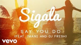 Sigala  Say You Do Official Audio ft Imani Williams DJ Fresh [upl. by Kcin]