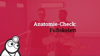 AnatomieCheck Das Fußskelett [upl. by Nylirret400]