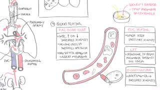 PART II  Pneumonia Transmission Causative Agents Investigations Management [upl. by Iroj]