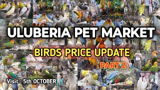 ULUBERIA PET MARKET BIRDS PRICES UPDATE 5th OCTOBER PART 2 uluberiapetmarket cheapestprice [upl. by Olnton251]