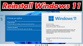 GUIDE How to Reinstall Windows 11 Very Easily amp Quickly Download [upl. by Alohs]